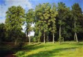 Hain am Teich preobrazhenskoye 1896 klassische Landschaft Ivan Ivanovich Bäume